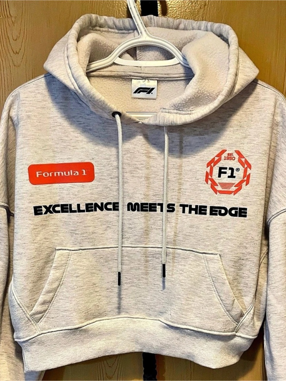 Formula 1 F1 Cropped Graphic Hoodie in Gray & Red Like New